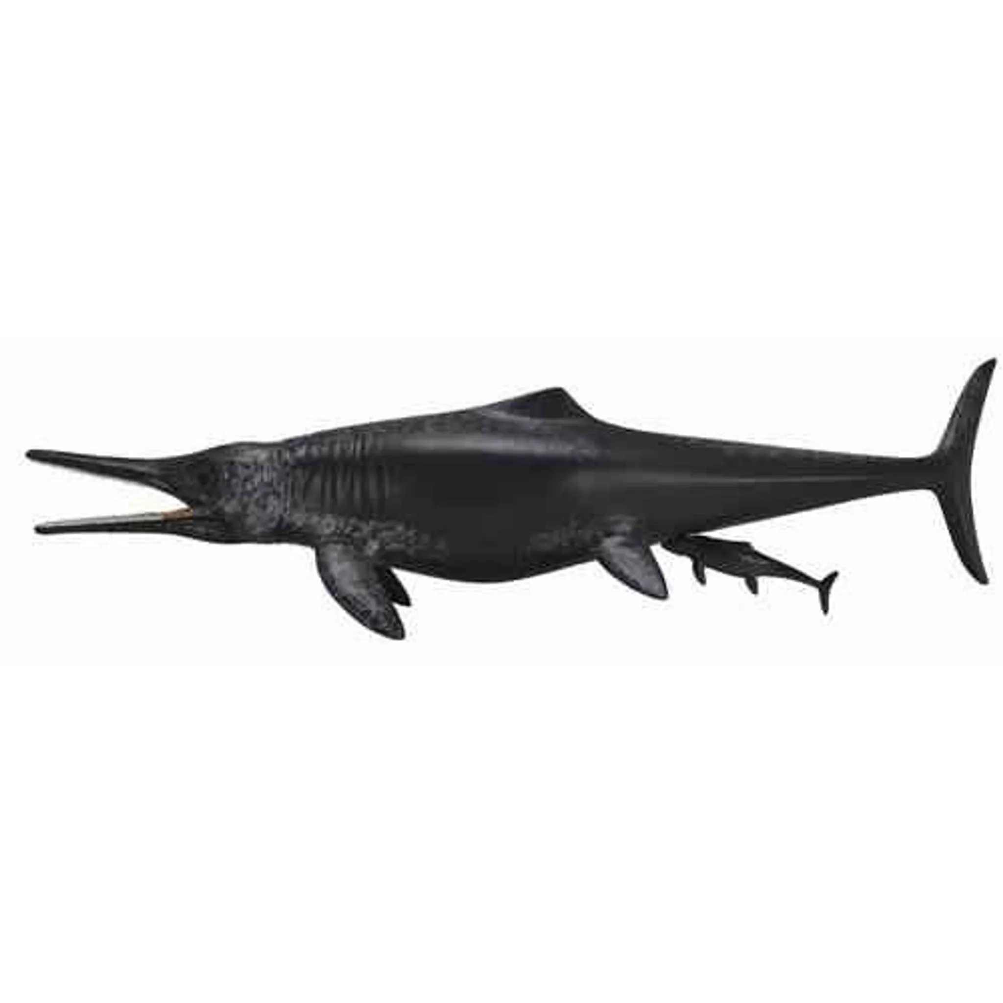 Collecta - Temnodontosaurus Platyodon Birthing