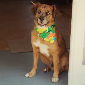 Pet Bandana - Surf Line Hawaii Flower Star Red